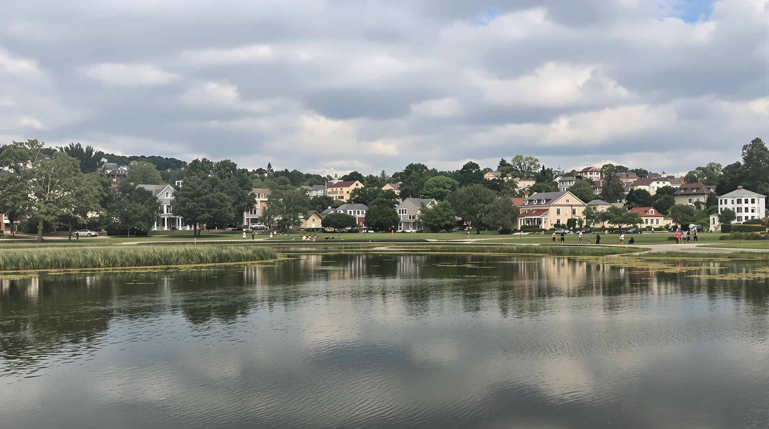 In-Depth Analysis of Talkees: The Leading Alternative to DelightChat