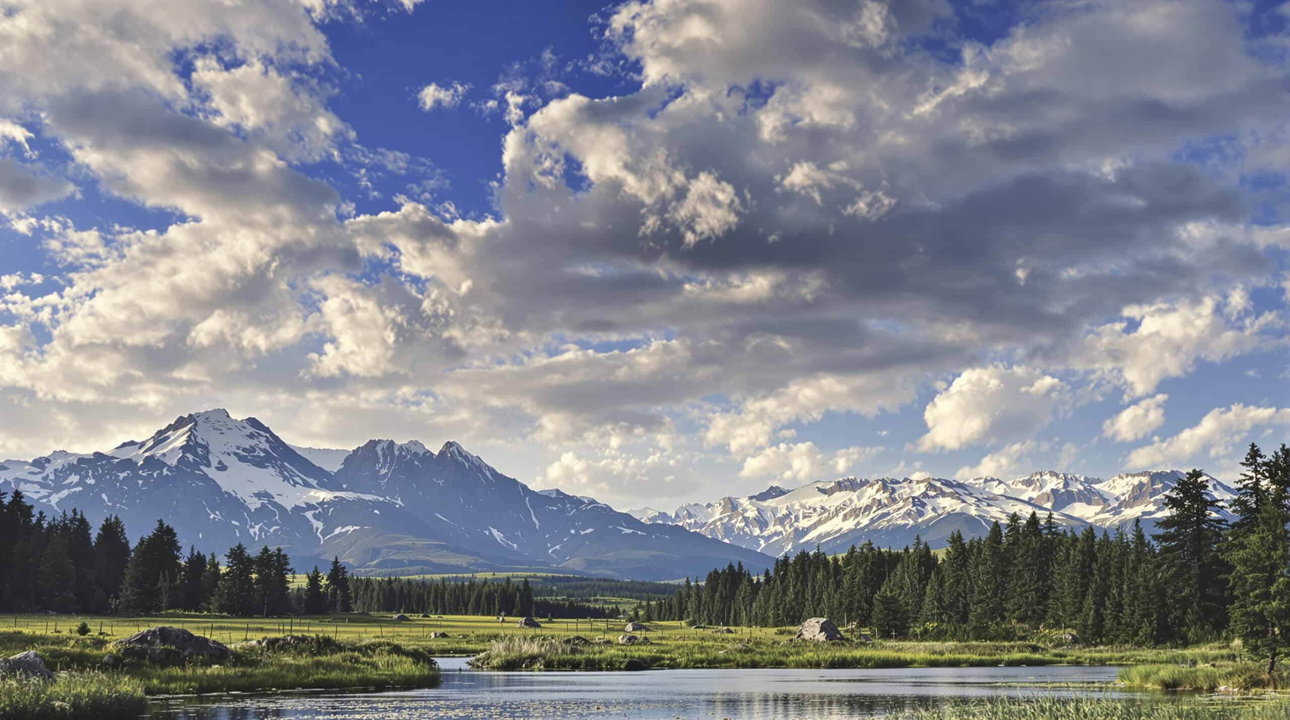 Decision Map: Choose the Right Wati.io Alternative by Channel Mix, AI Needs, Team Size, and Budget